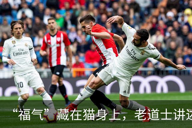 “福气”藏在猫身上，老道士讲述：它爱呆的地方，是守护你家财路