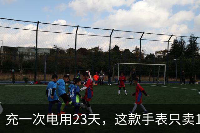 充一次电用23天，这款手表只卖170欧