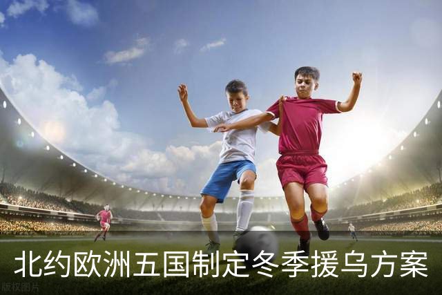 北约欧洲五国制定冬季援乌方案