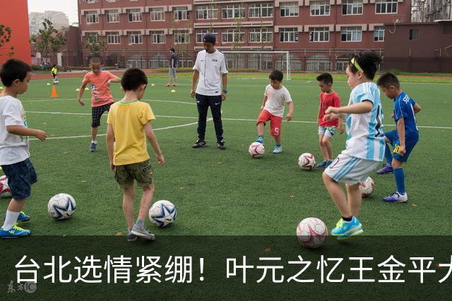 台北选情紧绷！叶元之忆王金平大罢免最后一周示警“只有你危险”