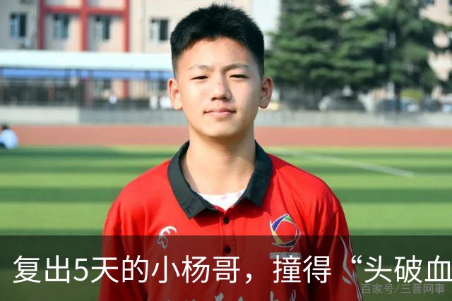 复出5天的小杨哥，撞得“头破血流”