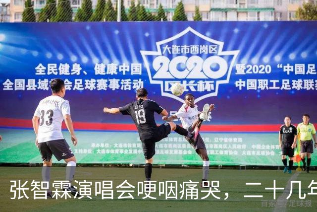 张智霖演唱会哽咽痛哭，二十几年牌友骤然离世 袁咏仪台下默默擦泪