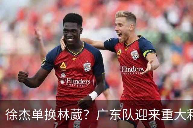 徐杰单换林葳？广东队迎来重大利好，保底能进总决赛了！