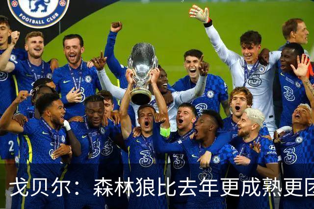 戈贝尔：森林狼比去年更成熟更团结 希望到五六月能应对任何挑战