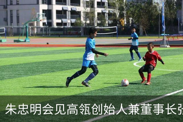 朱忠明会见高瓴创始人兼董事长张磊和跨国企业家、海外投资人代表