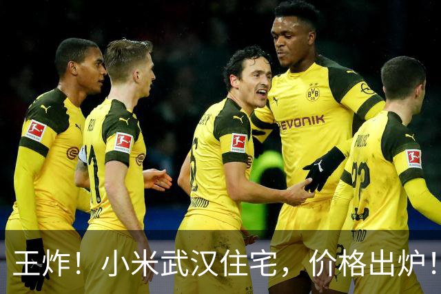 王炸！小米武汉住宅，价格出炉！
