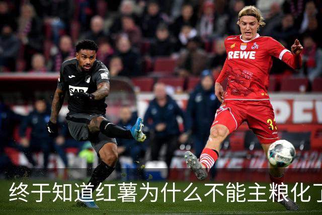 终于知道红薯为什么不能主粮化了，网友道出真相引万人共鸣！