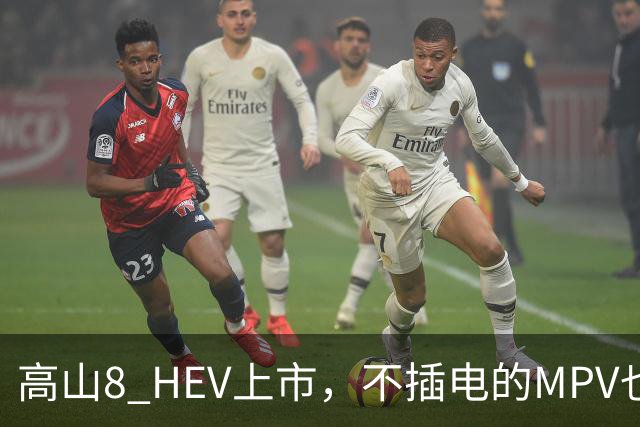 高山8 HEV上市，不插电的MPV也配激光雷达